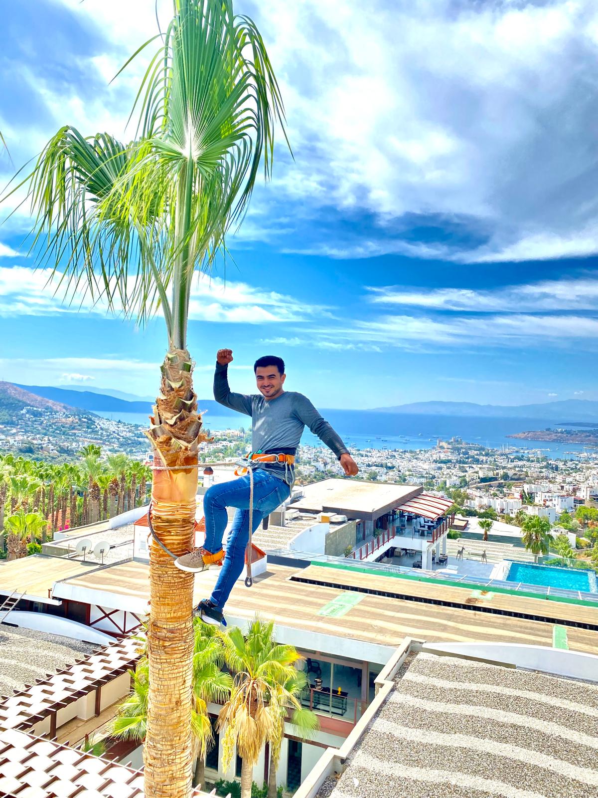 palmiye-agac-budama-fotograf (6) palmiye-agac-budama-fotograf (6)